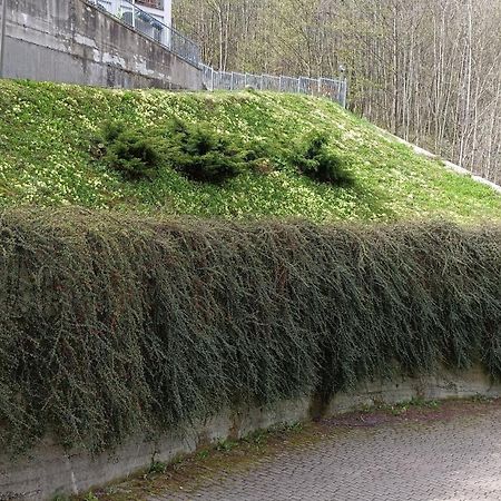 CorioIl Riposo Del Guerriero住宿加早餐旅馆 外观 照片