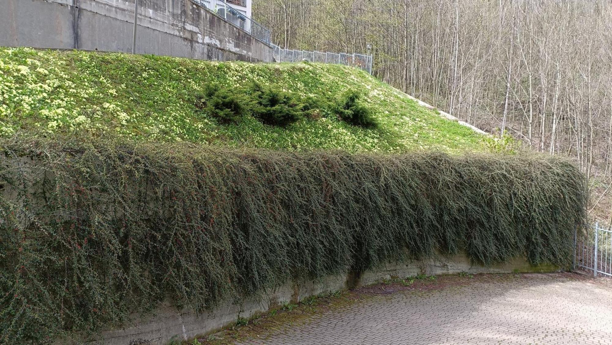 CorioIl Riposo Del Guerriero住宿加早餐旅馆 外观 照片